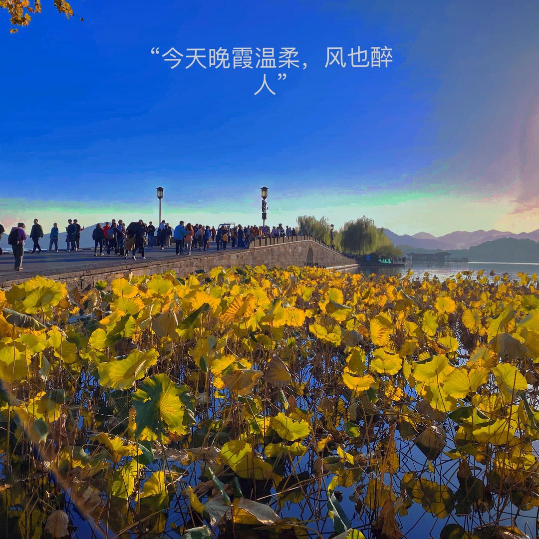 路遥短剧