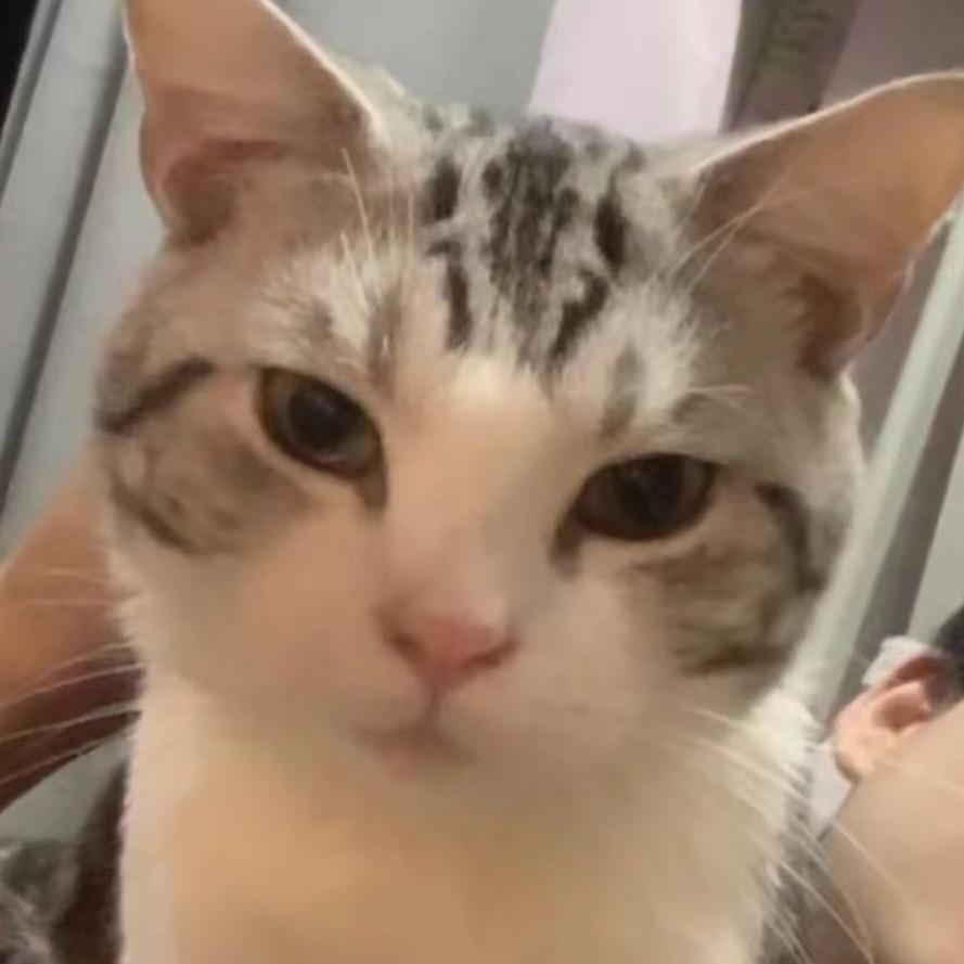 麻袋妖怪