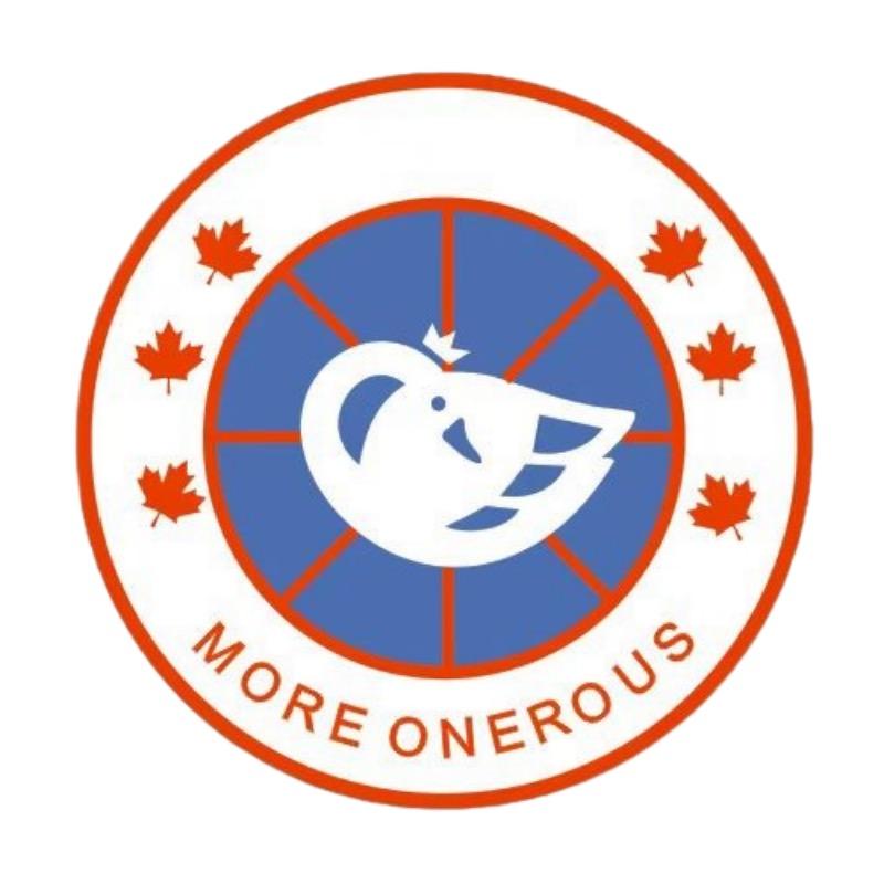 小鹅高端定制羽绒