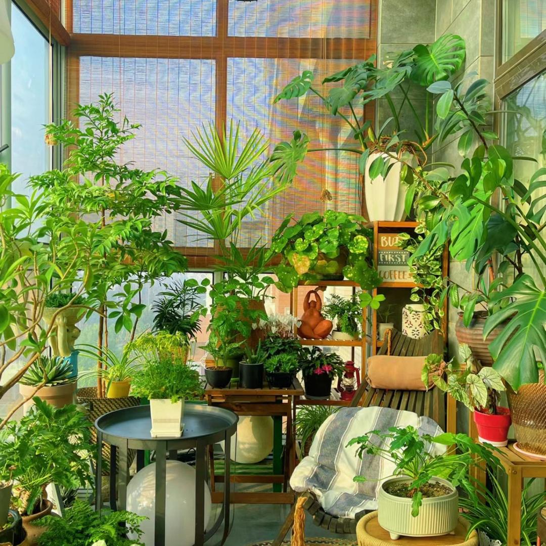 植韵绿植