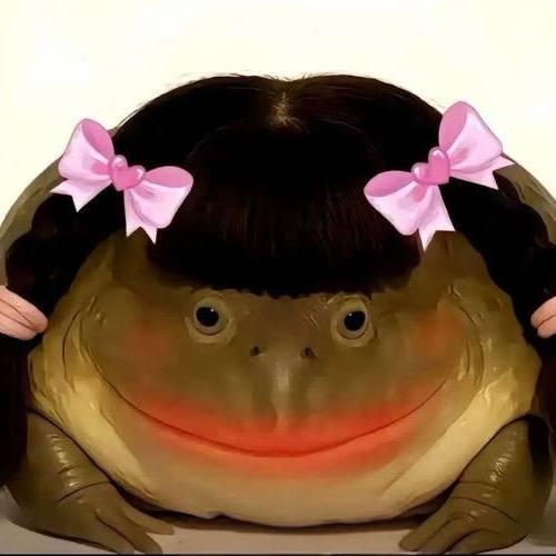 卖核弹的小仙女