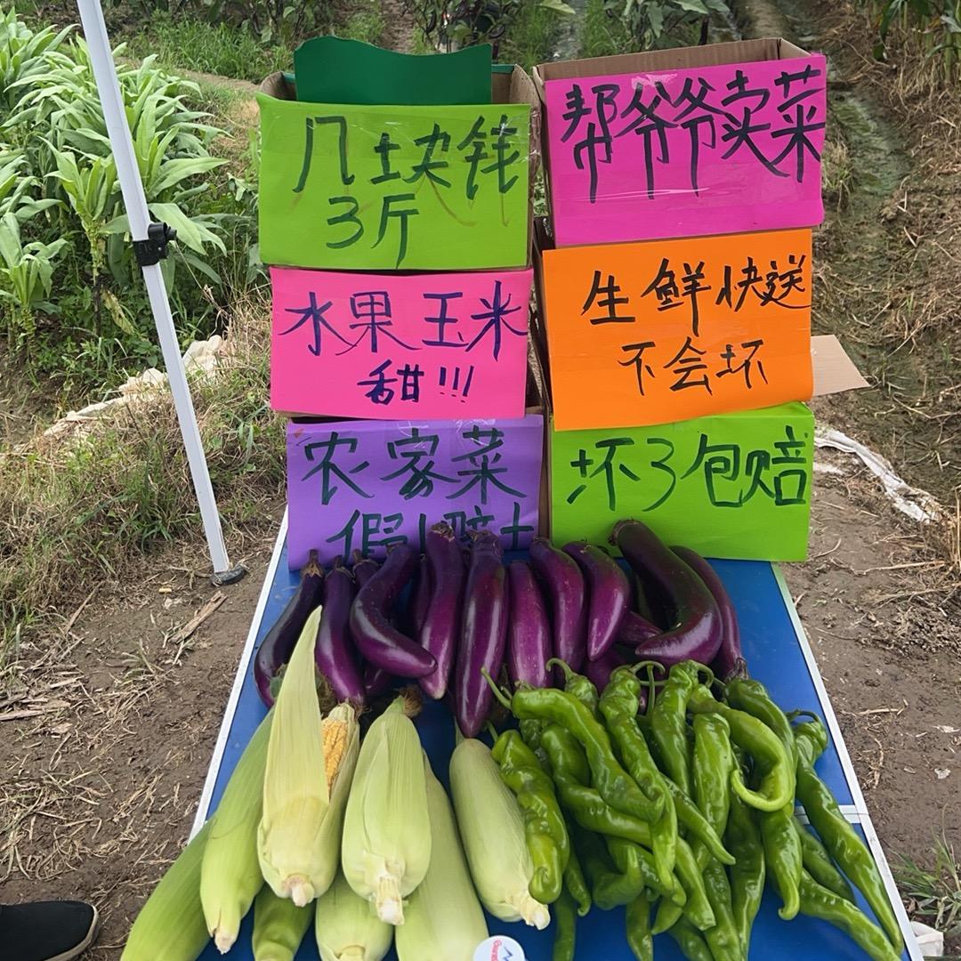 思琴甄选正宗农家菜