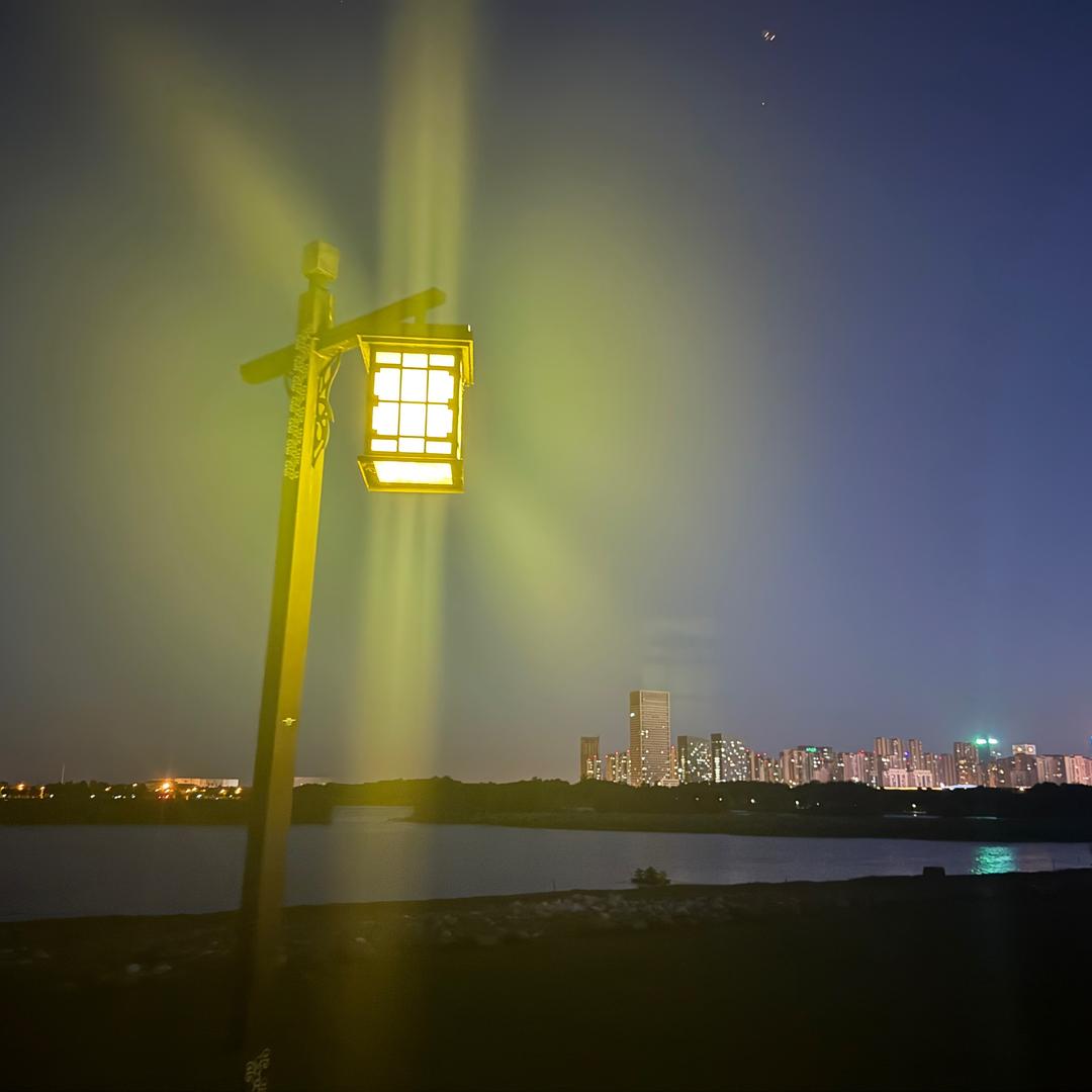 十一✨