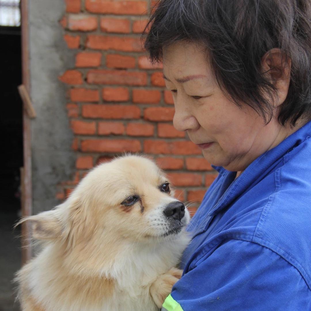 大连👼王妈妈小院🐶🐱