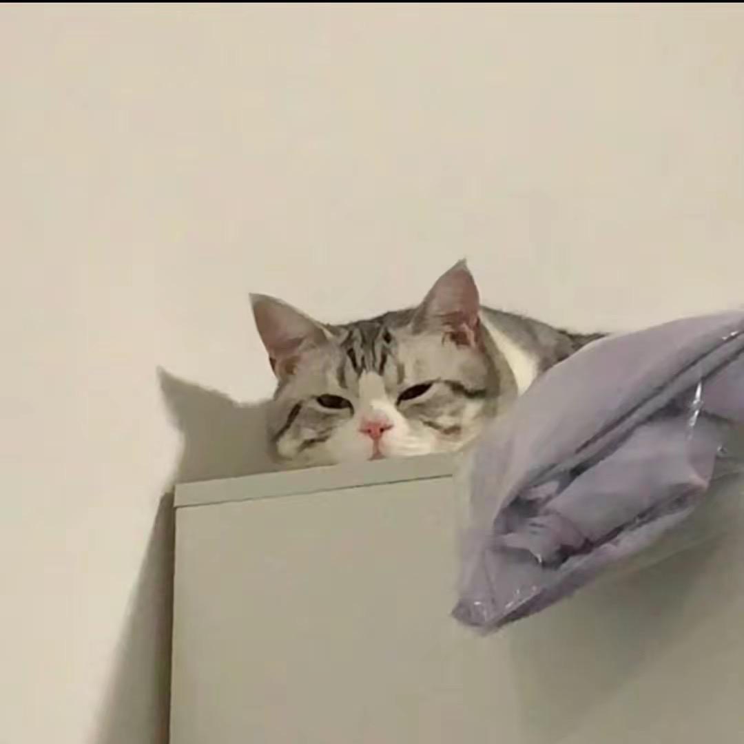 涵涵