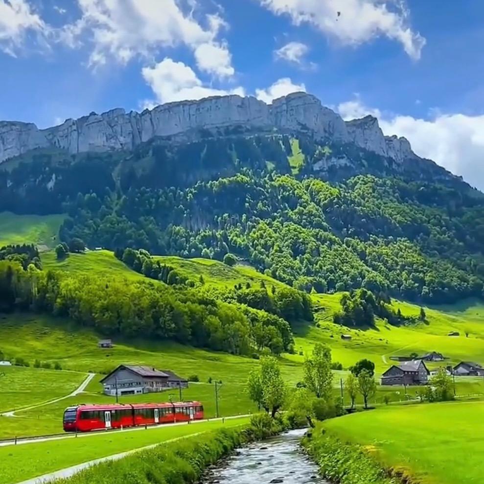 🌾思念哥