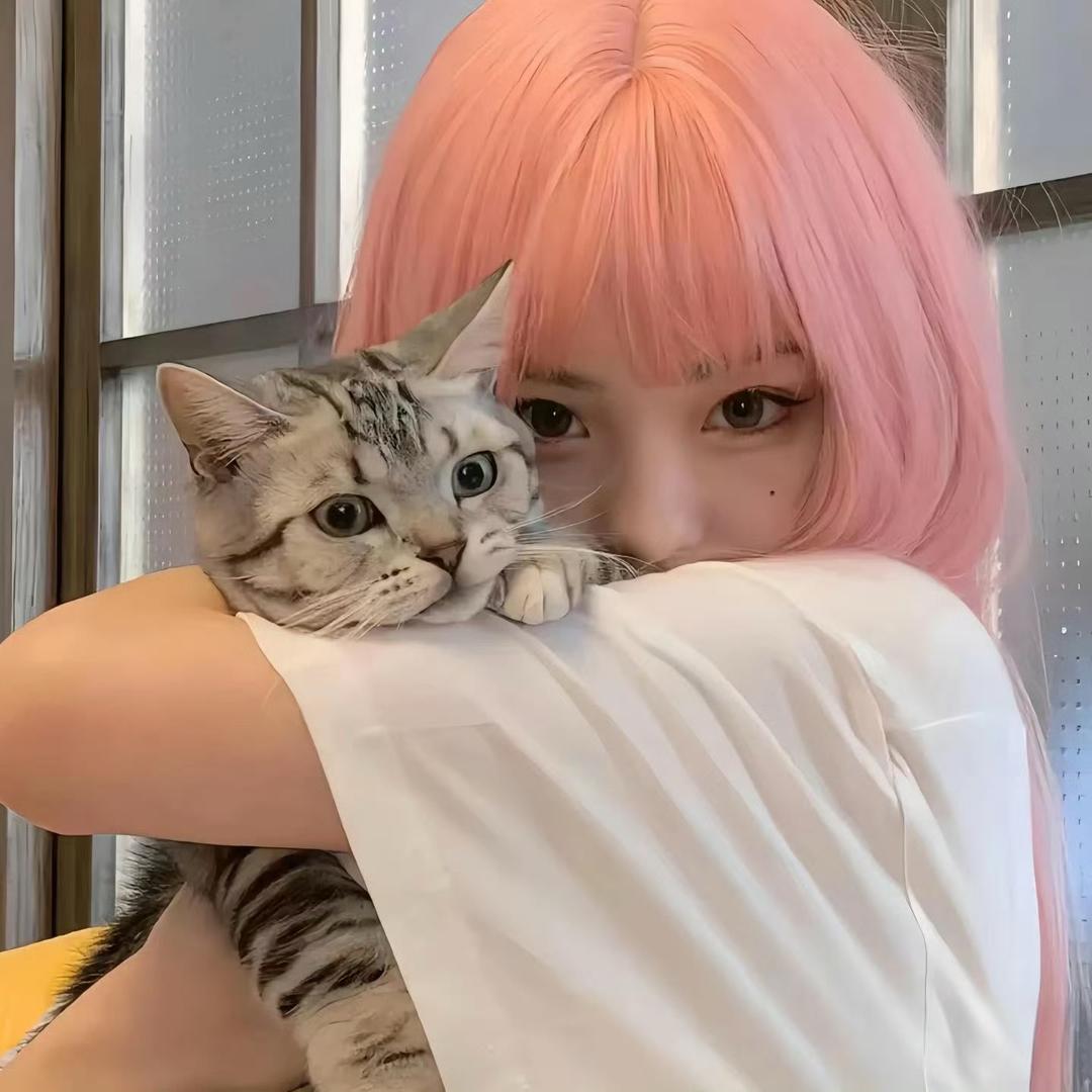 一块儿芝士