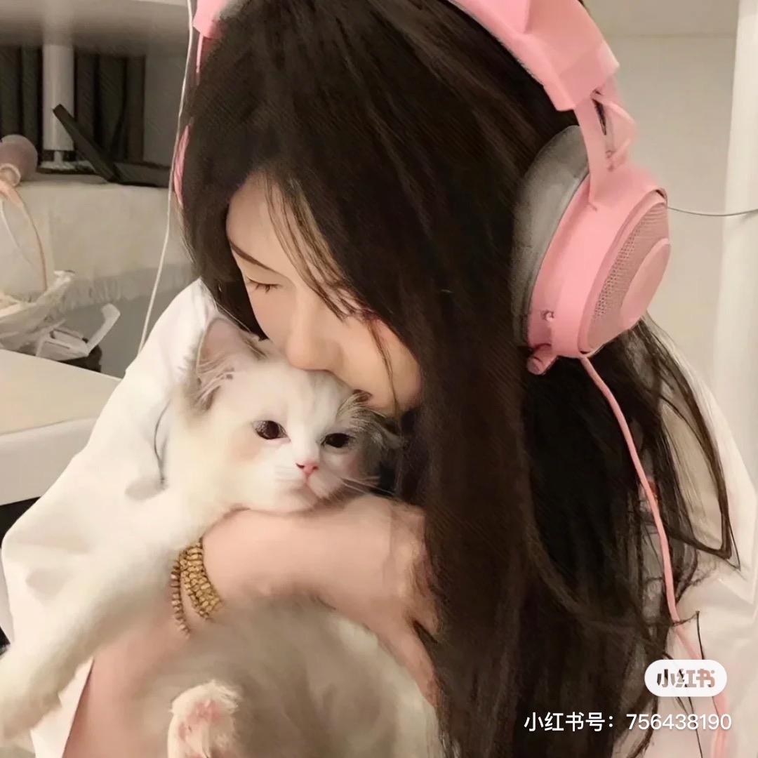 不懂蒜了.