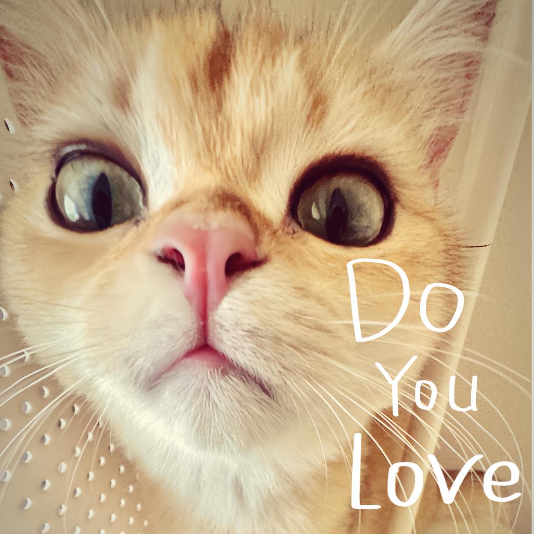 冰冷帅气猪小肠