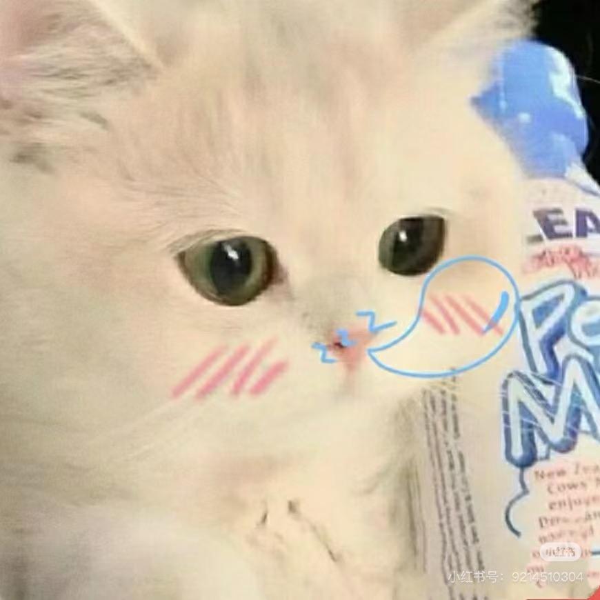 :悲伤𝙆𝙞𝙩猫❤️