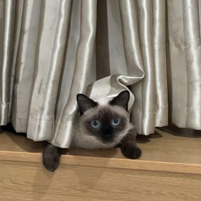 🌈控控卡卡🌈