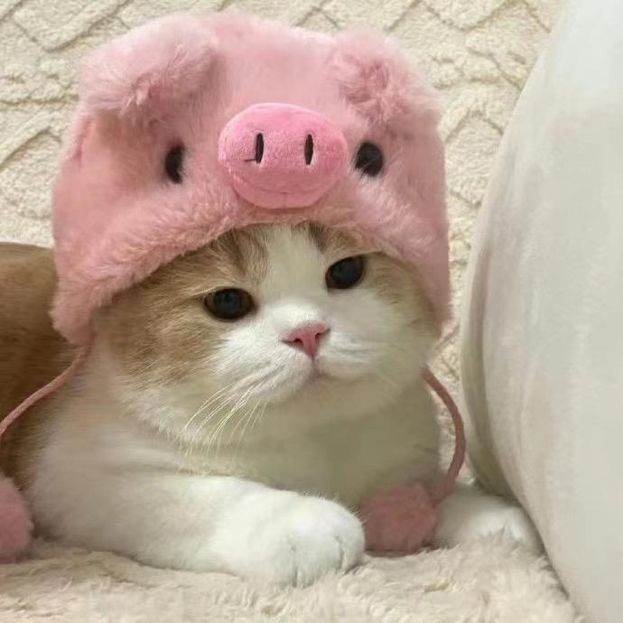 小月亮诶