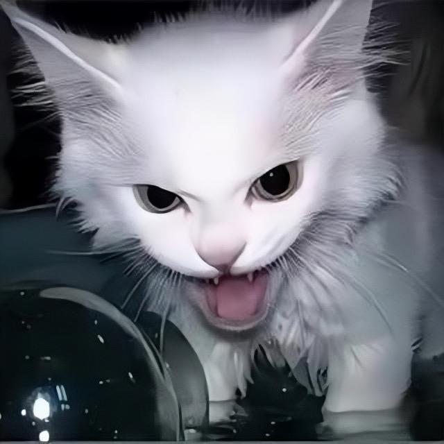 LJ