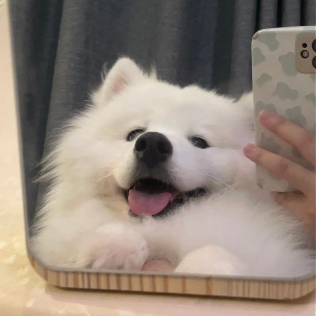 屿_
