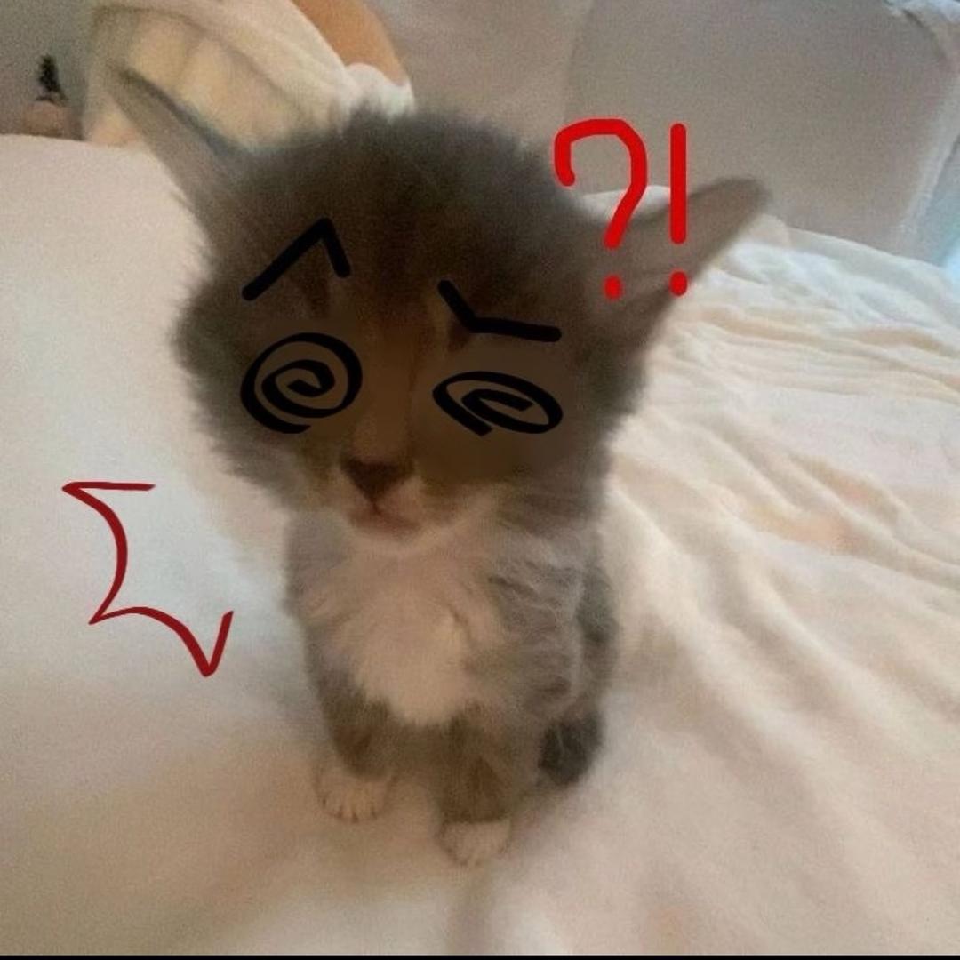 咕噜咪🫧