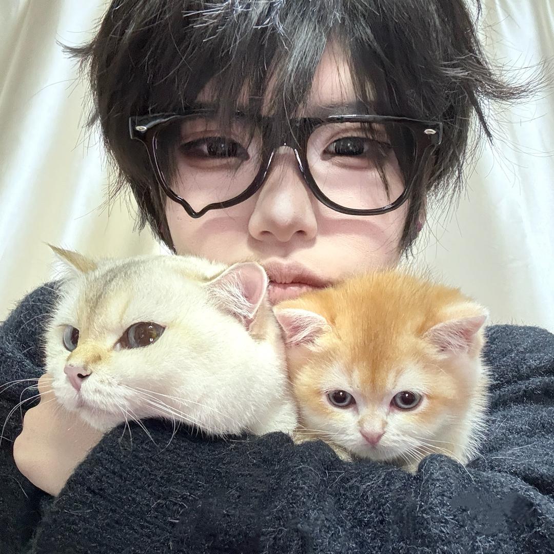 苏自信（变色龙版）