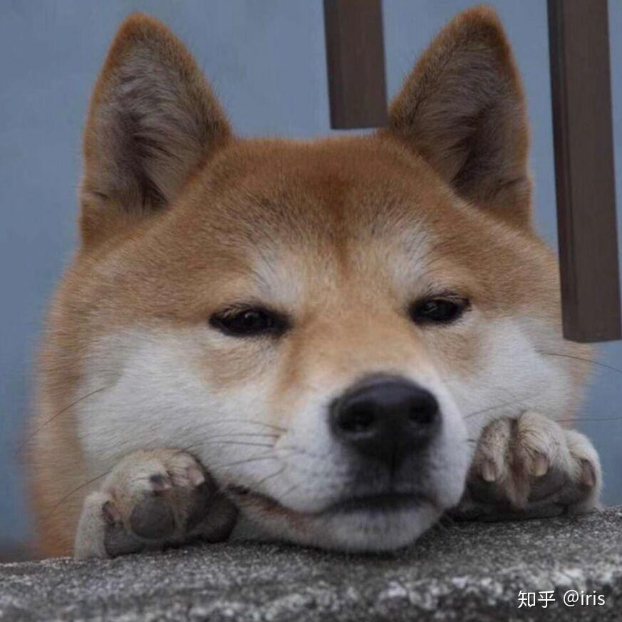 元夕服装工厂店