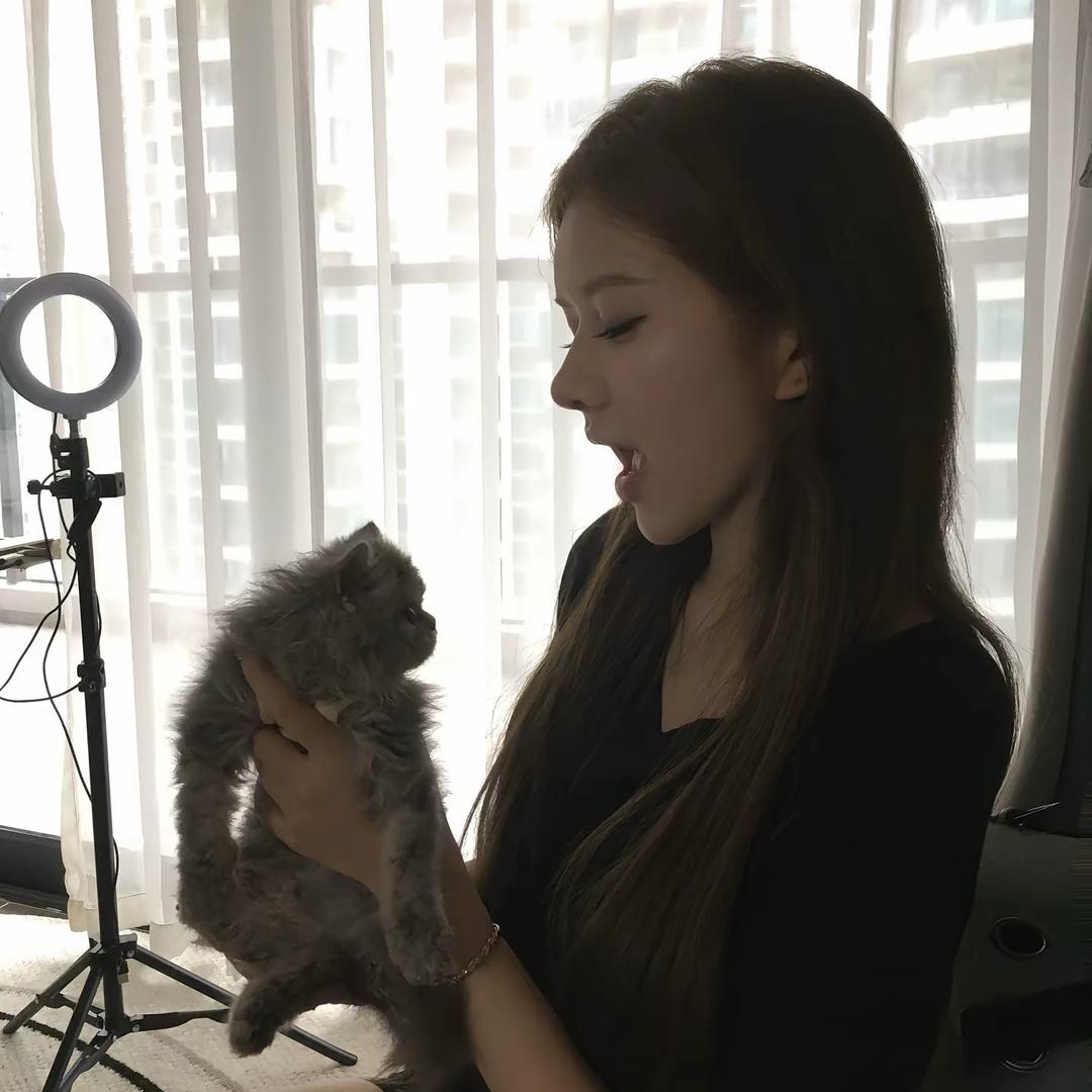 春遇