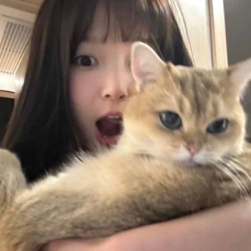 徐徐徐徐徐