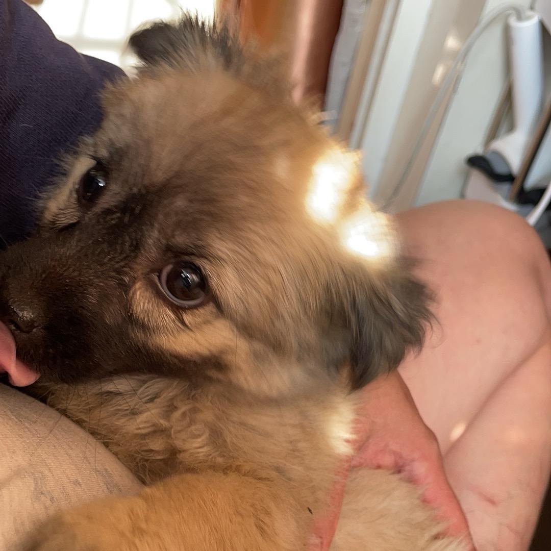 枣庄东贝商贸潮流好货店