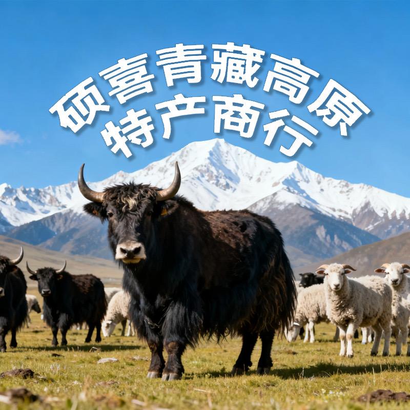 硕喜青藏高原特产商行