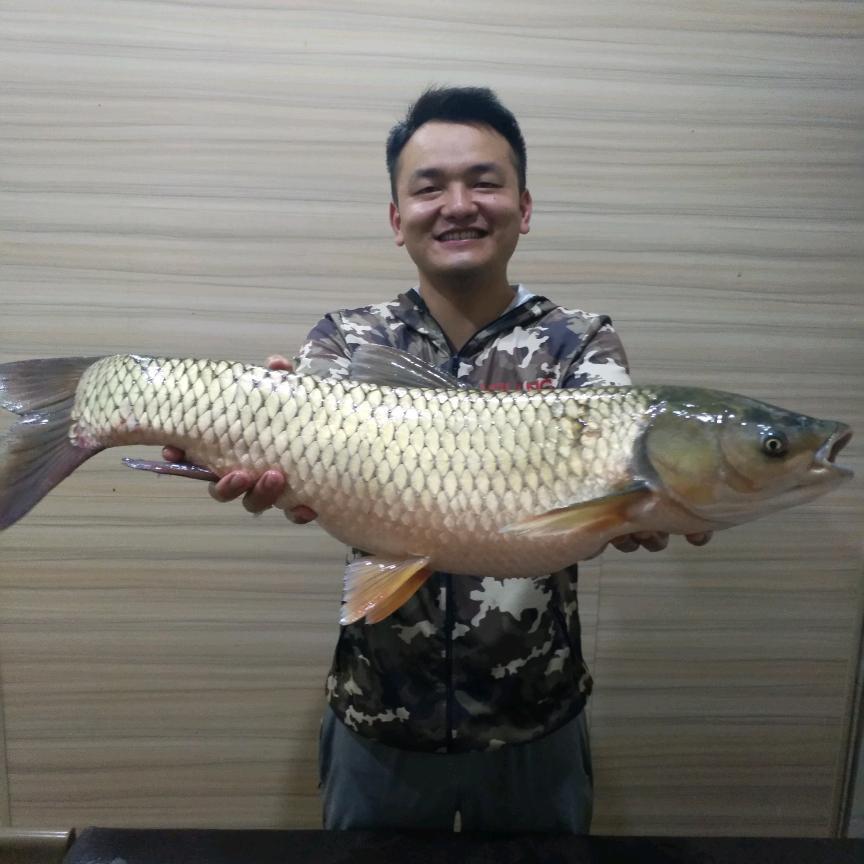 逆流鱼（武胜千水渔具）