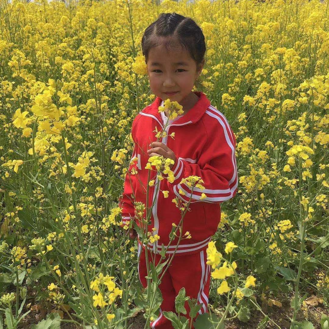 如果生命没有遗憾