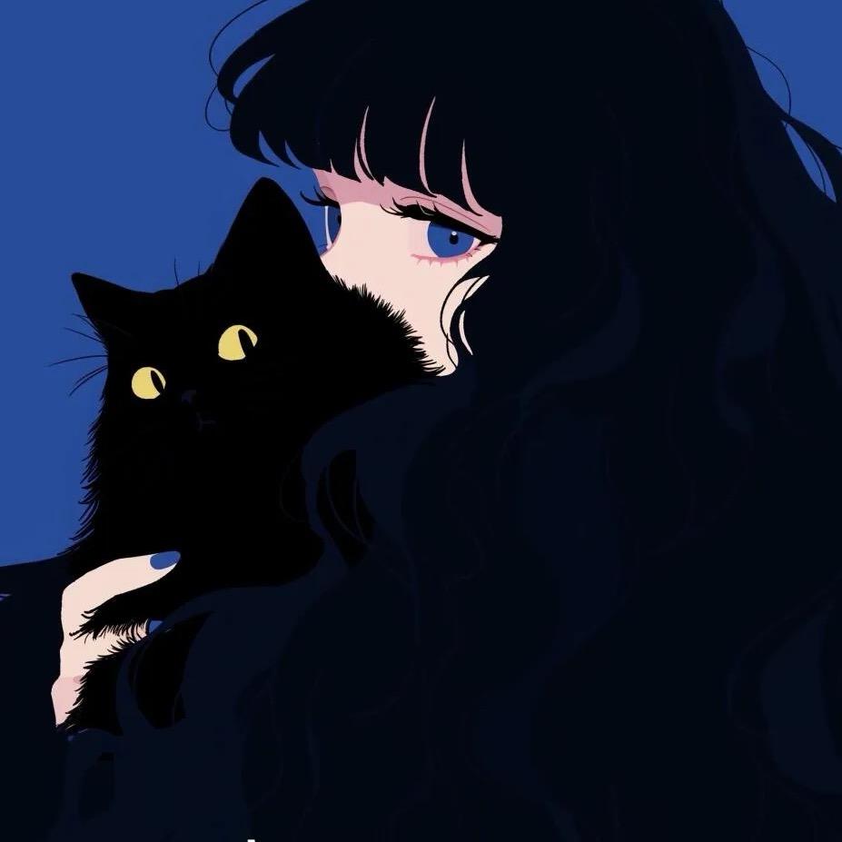 @巷子里的猫