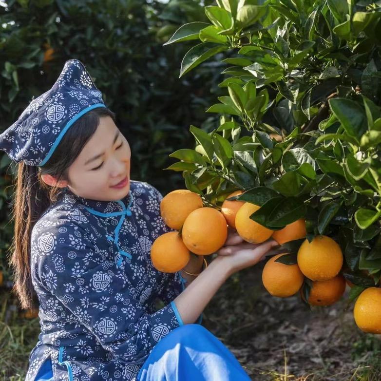 安西甜橙果业