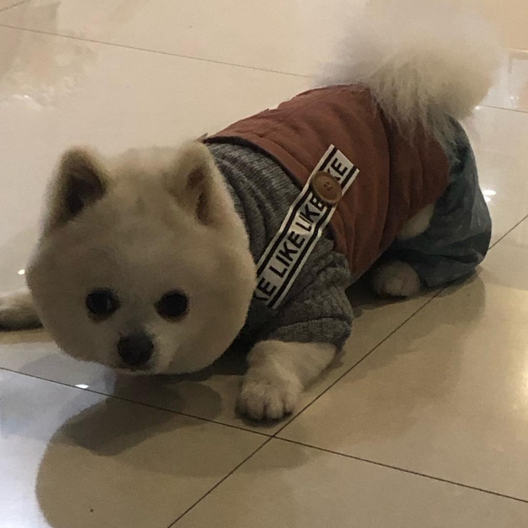 黑喵