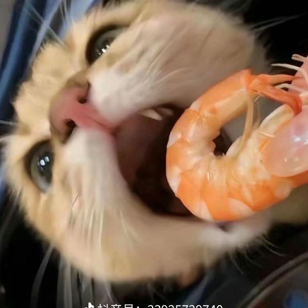 可丽饼妮