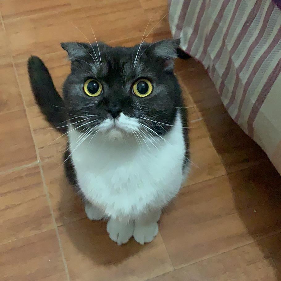 不争馒头争什么