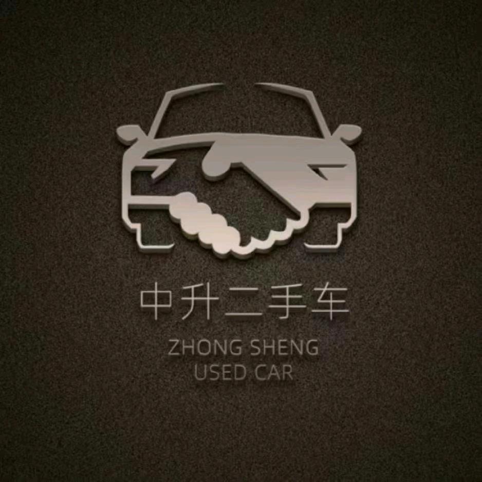 中升二手车一薇薇