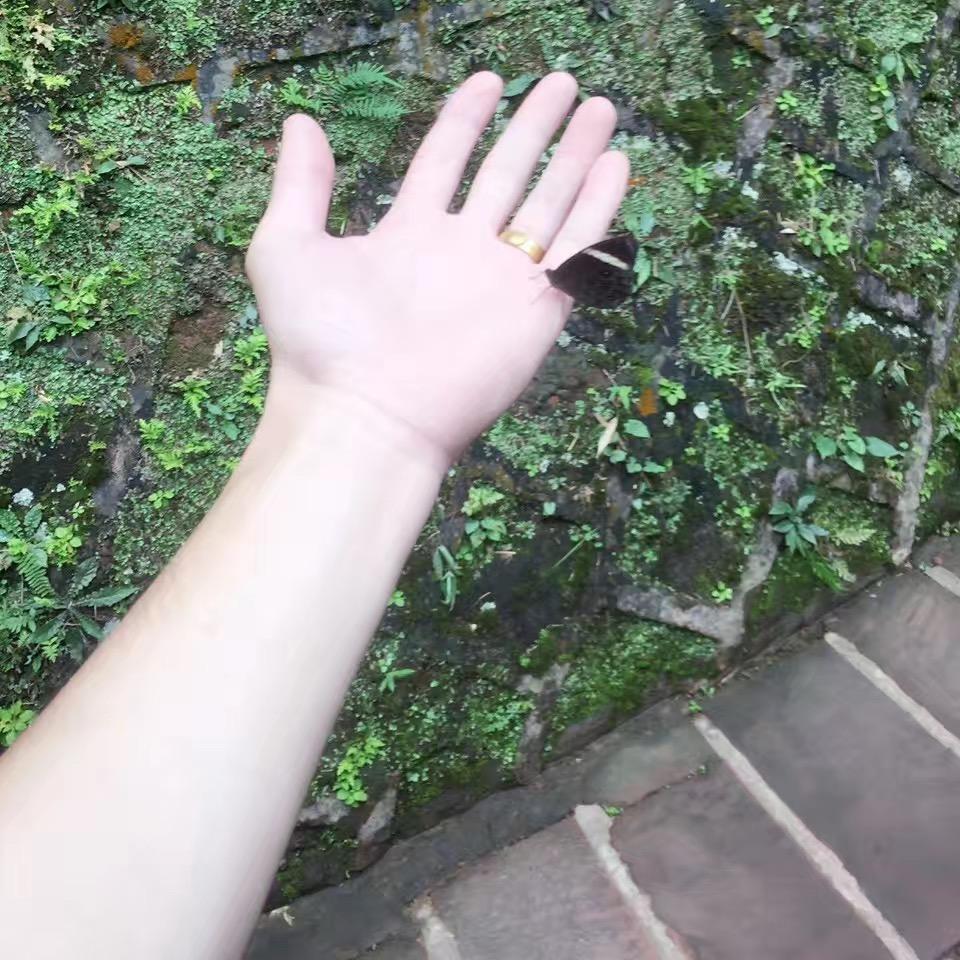 星辰｜浪子