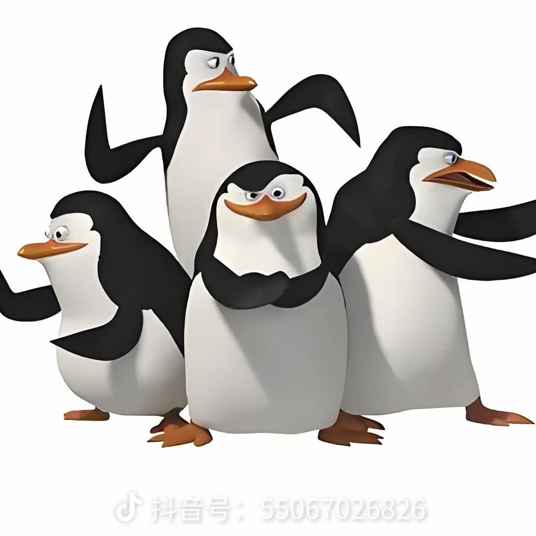 随心