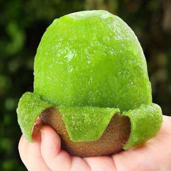 心随风飞