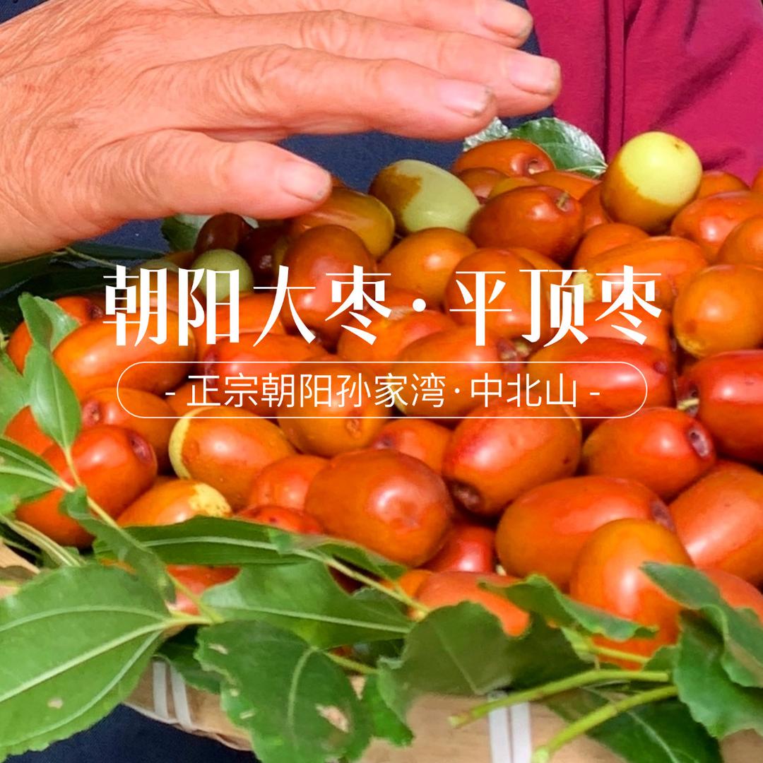 朝阳大枣孙家湾小刘果园