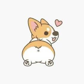 🐶富贵🐶