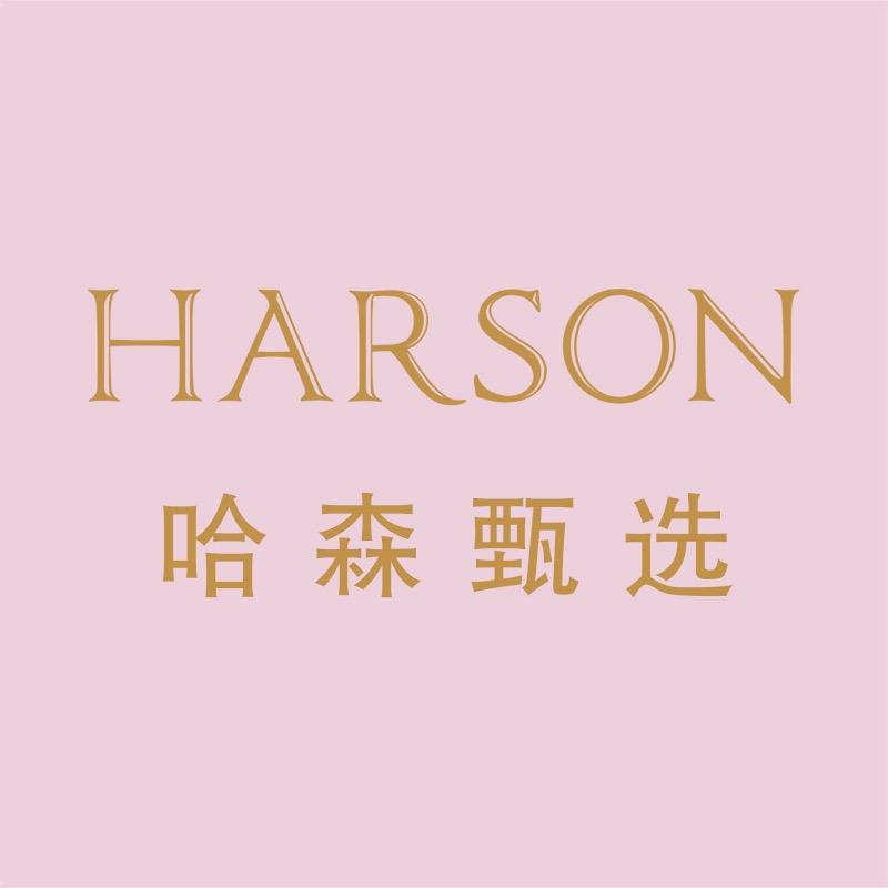 哈森甄选鞋类专卖店