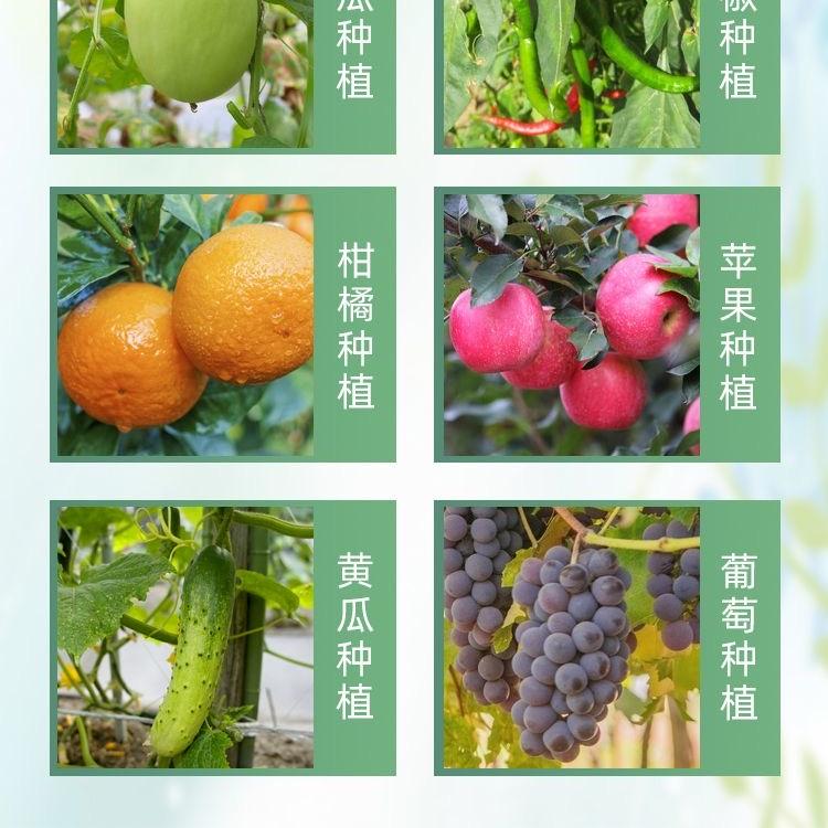 小亮亮农资