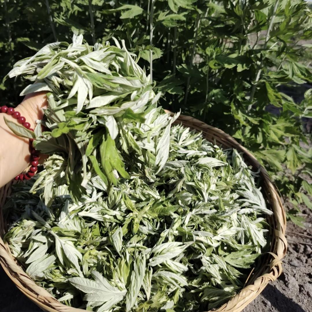 端济滋补玉灵膏