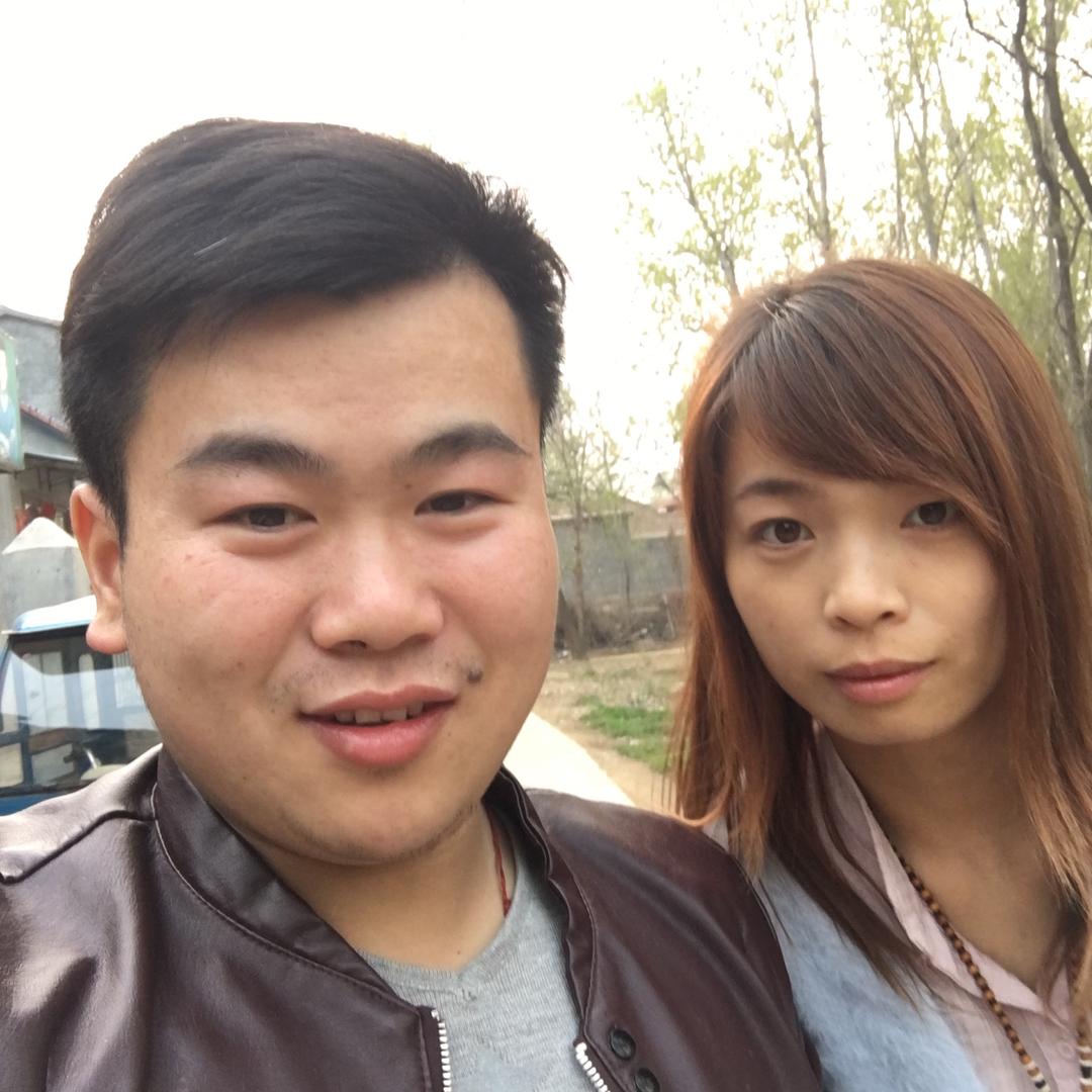 河南大黑27号上午秋月梨，月饼