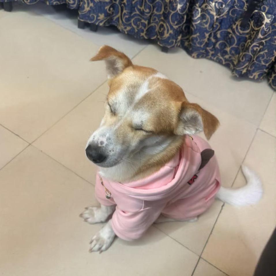 是小陈呀