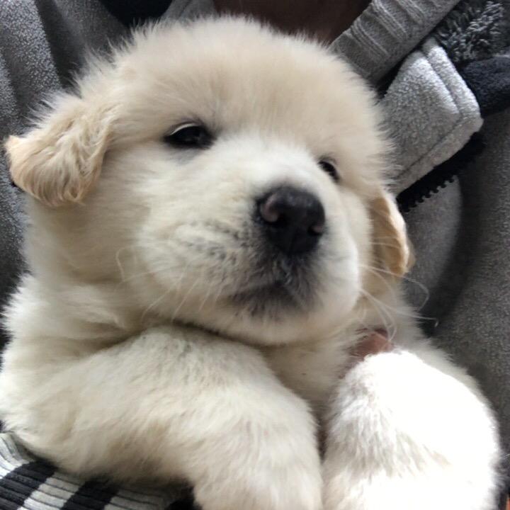 🌈跟影子说晚安