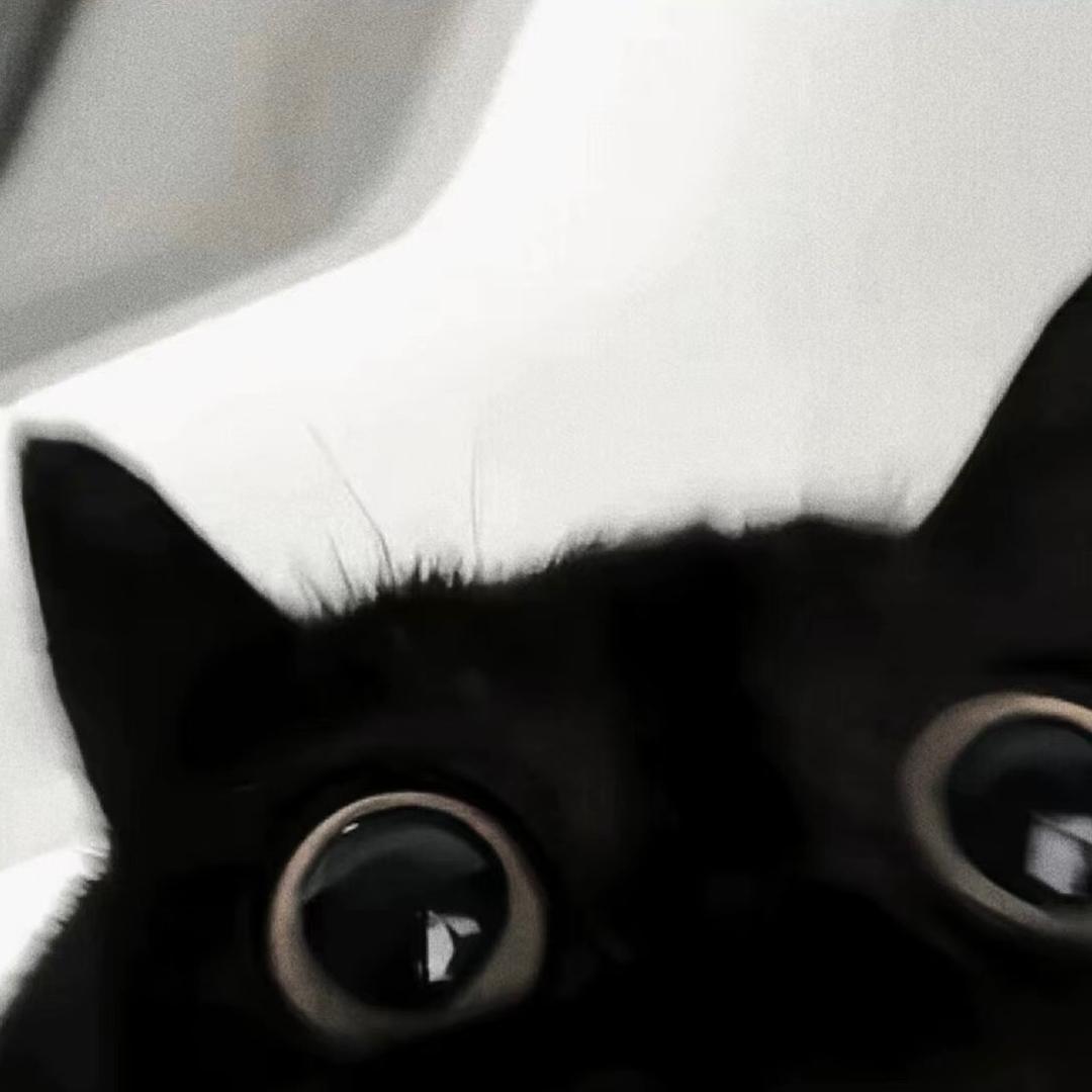小赖