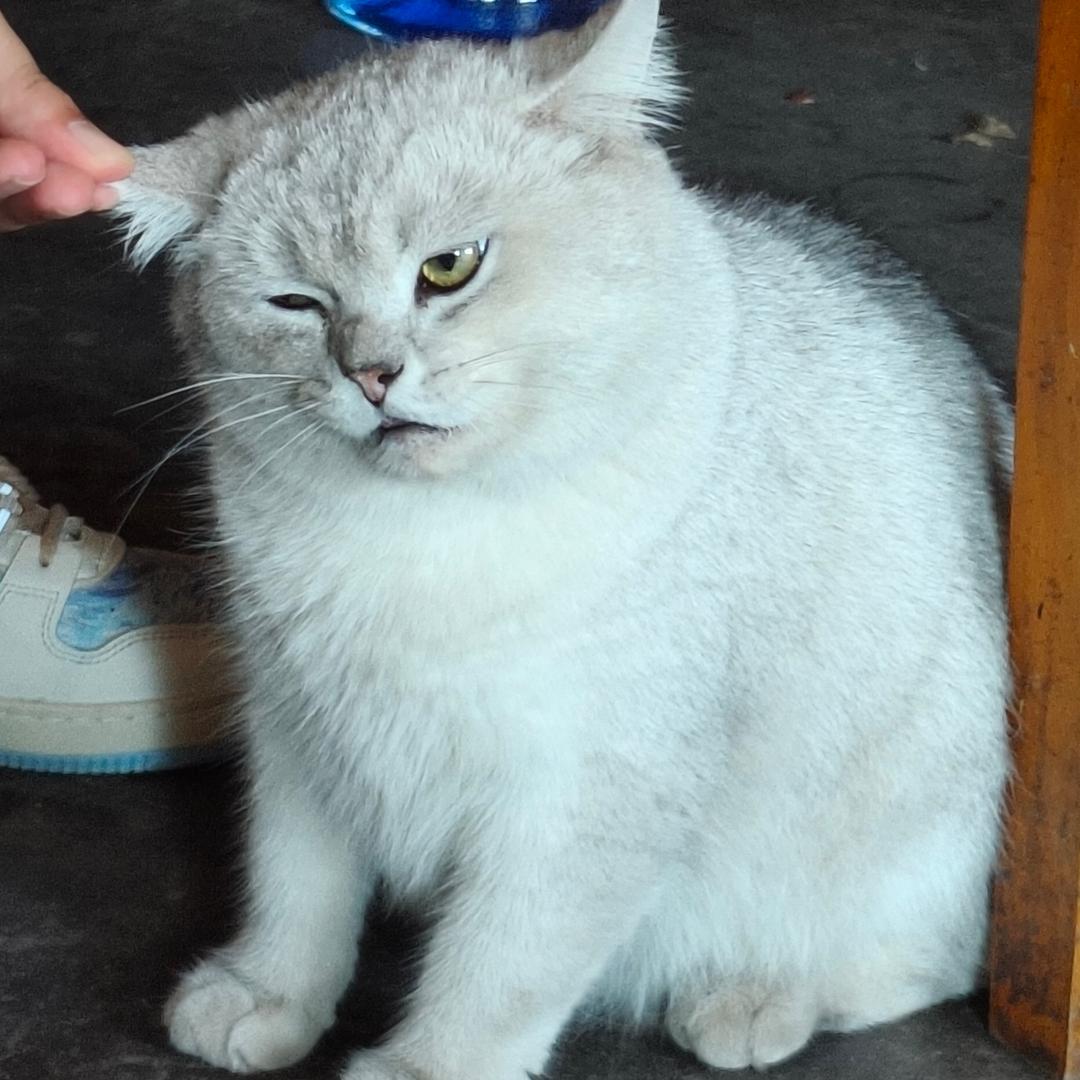 让我幸运一次吧