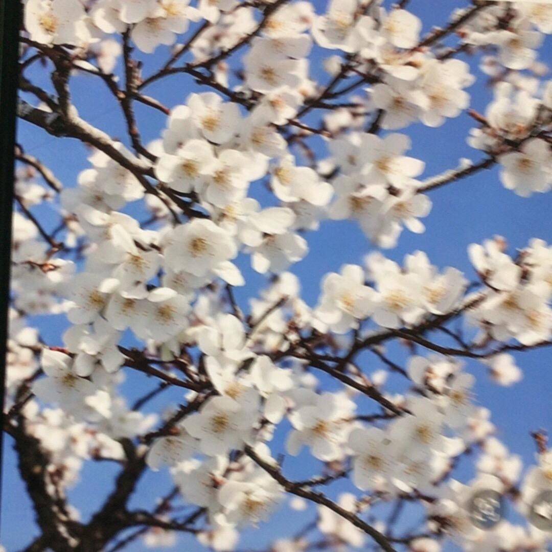 幸福健康