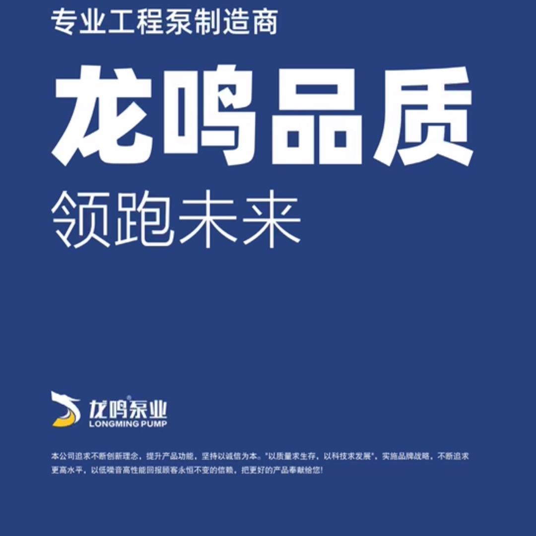 龙鸣泵业