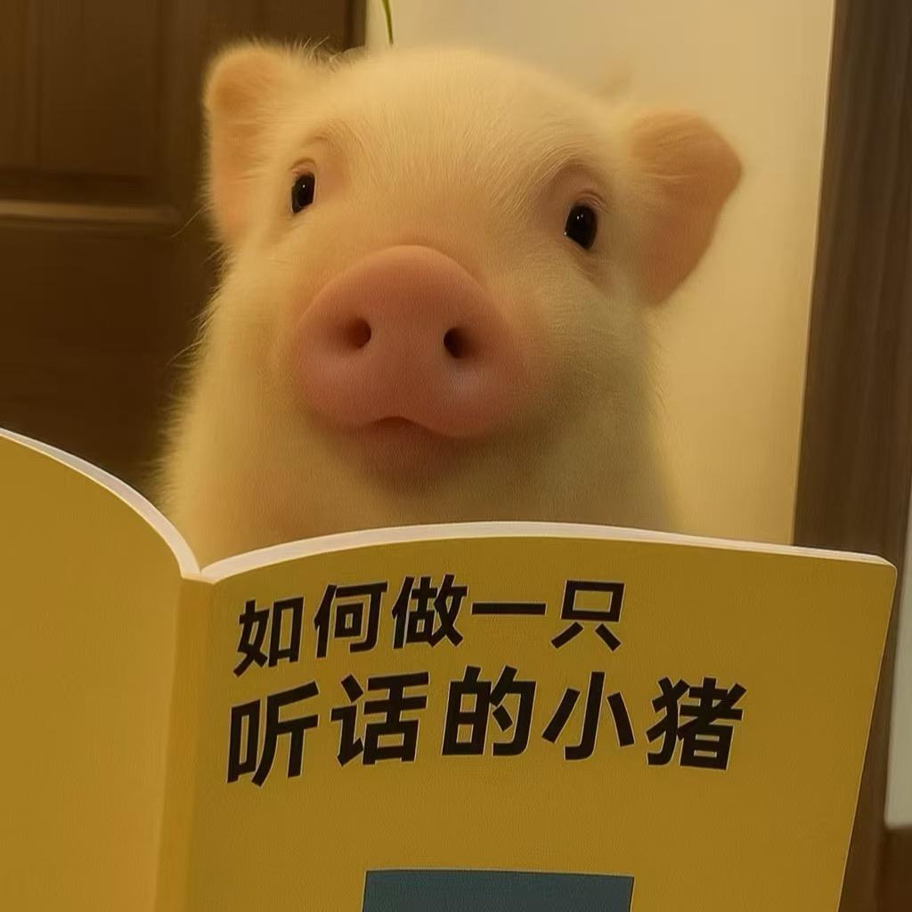 🍦猪猪宝贝🍡