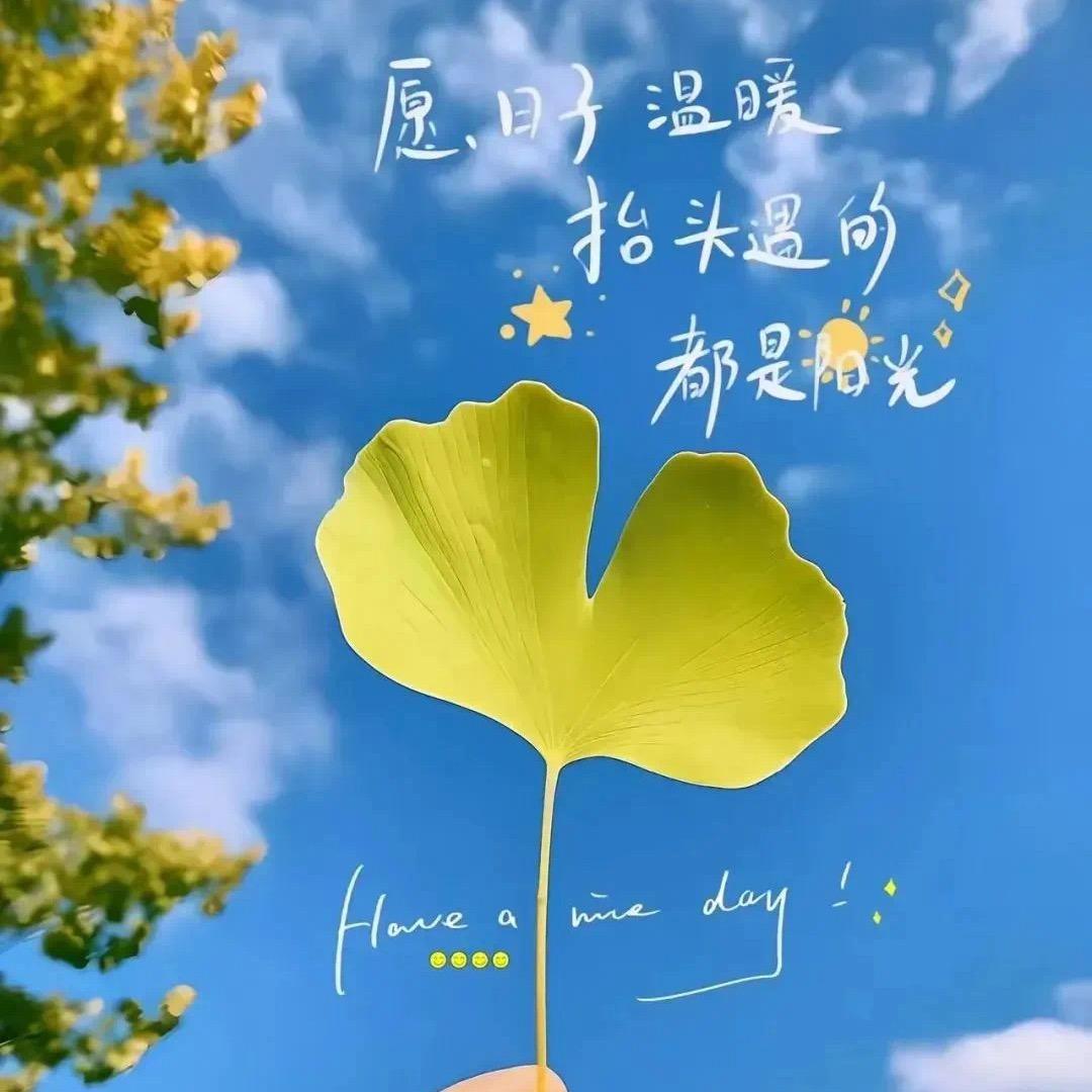 幸福泡沫